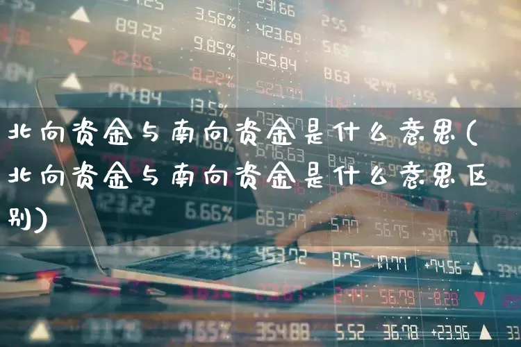 北向资金与南向资金是什么意思(北向资金与南向资金是什么意思区别)_https://www.fzdzcxj.com_深交所_第1张