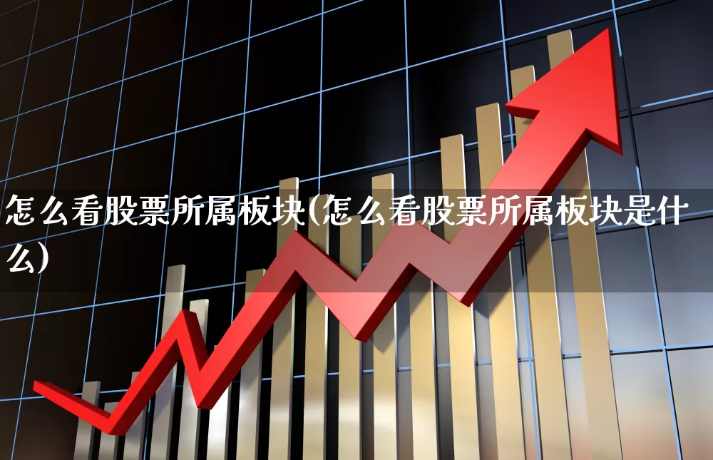 怎么看股票所属板块(怎么看股票所属板块是什么)_https://www.fzdzcxj.com_深交所_第1张