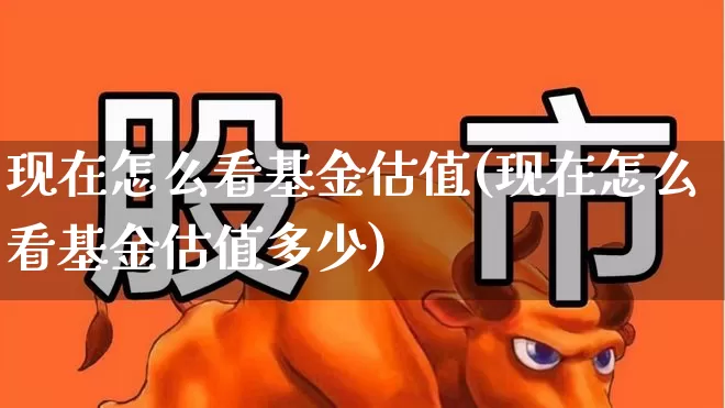 现在怎么看基金估值(现在怎么看基金估值多少)_https://www.fzdzcxj.com_深交所_第1张