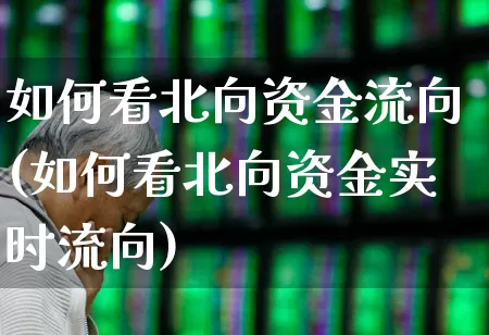 如何看北向资金流向(如何看北向资金实时流向)_https://www.fzdzcxj.com_上交所_第1张