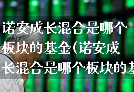 诺安成长混合是哪个板块的基金(诺安成长混合是哪个板块的基金啊)_https://www.fzdzcxj.com_北交所_第1张