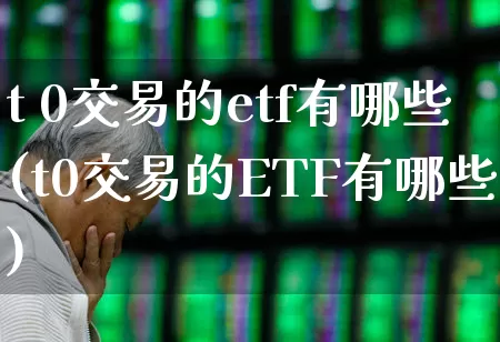 t 0交易的etf有哪些(t0交易的ETF有哪些)_https://www.fzdzcxj.com_创业板_第1张