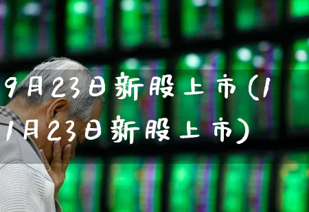 9月23日新股上市(11月23日新股上市)_https://www.fzdzcxj.com_科创板_第1张