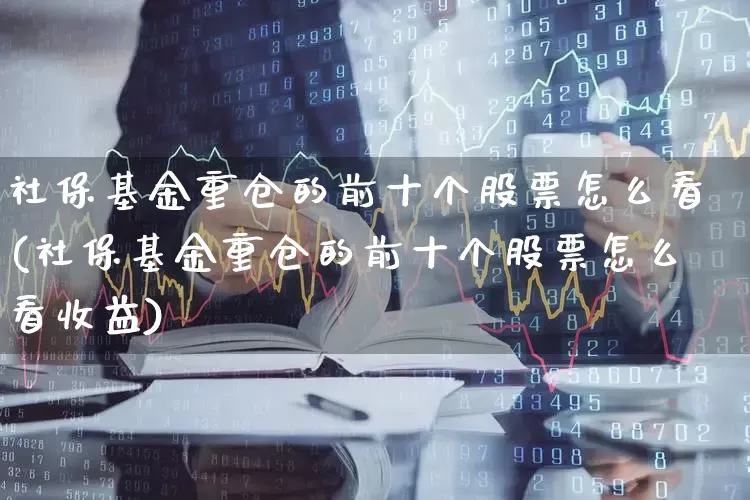 社保基金重仓的前十个股票怎么看(社保基金重仓的前十个股票怎么看收益)_https://www.fzdzcxj.com_创业板_第1张