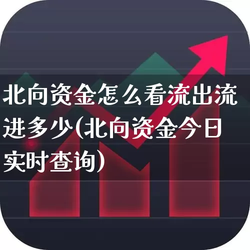 北向资金怎么看流出流进多少(北向资金今日实时查询)_https://www.fzdzcxj.com_科创板_第1张