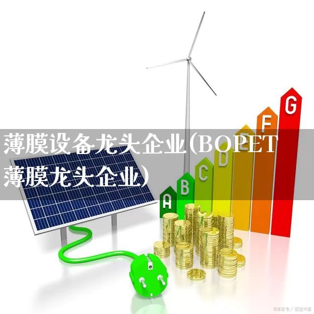 薄膜设备龙头企业(BOPET薄膜龙头企业)_https://www.fzdzcxj.com_科创板_第1张