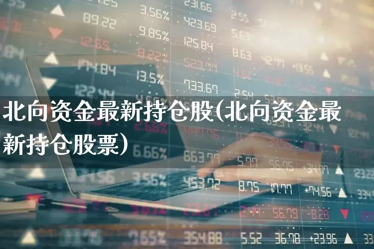 北向资金最新持仓股(北向资金最新持仓股票)_https://www.fzdzcxj.com_上交所_第1张