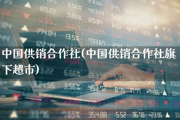 中国供销合作社(中国供销合作社旗下超市)_https://www.fzdzcxj.com_科创板_第1张