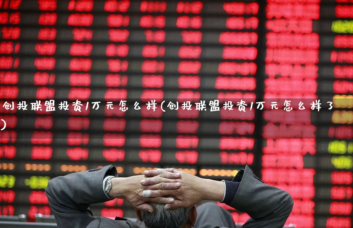 创投联盟投资1万元怎么样(创投联盟投资1万元怎么样了)_https://www.fzdzcxj.com_深交所_第1张