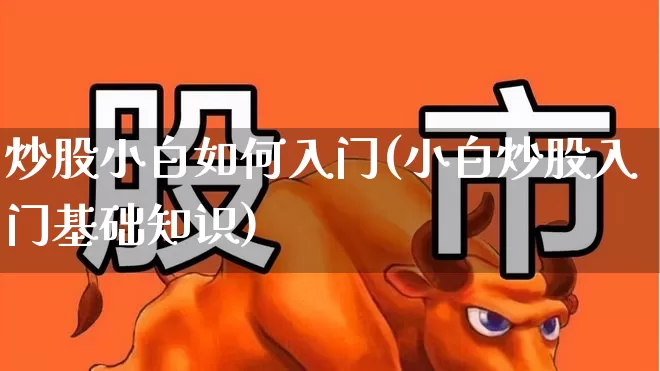 炒股小白如何入门(小白炒股入门基础知识)_https://www.fzdzcxj.com_创业板_第1张