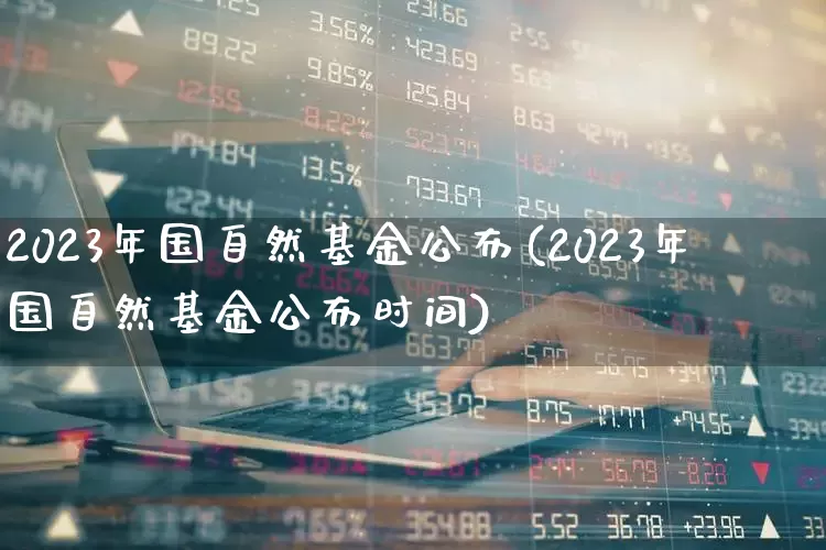 2023年国自然基金公布(2023年国自然基金公布时间)_https://www.fzdzcxj.com_北交所_第1张