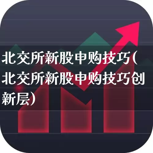 北交所新股申购技巧(北交所新股申购技巧创新层)_https://www.fzdzcxj.com_科创板_第1张