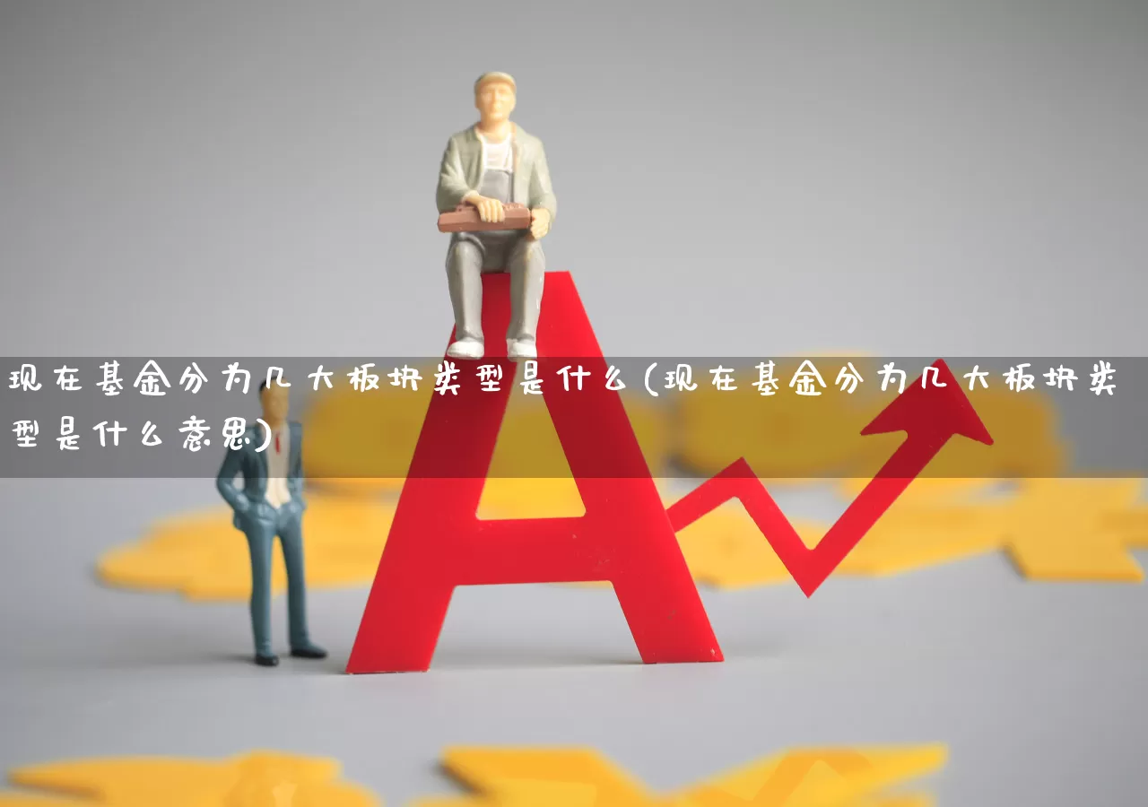 现在基金分为几大板块类型是什么(现在基金分为几大板块类型是什么意思)_https://www.fzdzcxj.com_科创板_第1张