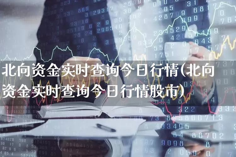 北向资金实时查询今日行情(北向资金实时查询今日行情股市)_https://www.fzdzcxj.com_北交所_第1张