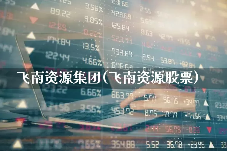 飞南资源集团(飞南资源股票)_https://www.fzdzcxj.com_北交所_第1张