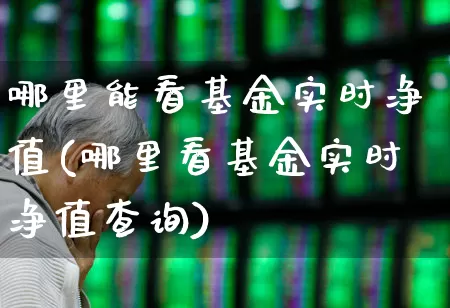 哪里能看基金实时净值(哪里看基金实时净值查询)_https://www.fzdzcxj.com_北交所_第1张