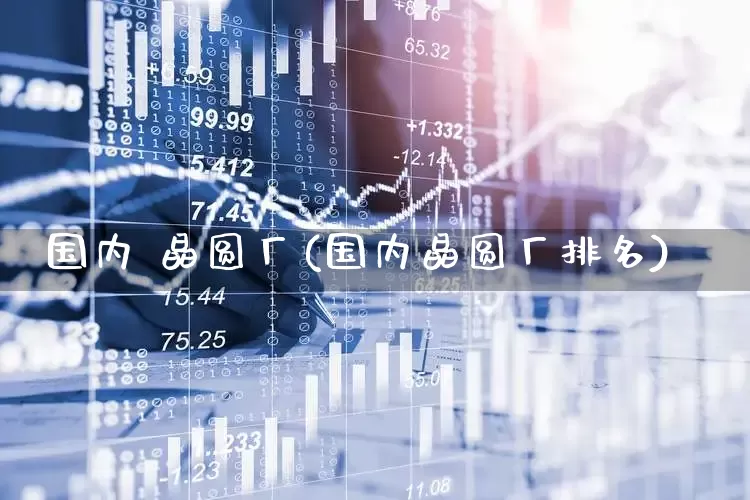 国内 晶圆厂(国内晶圆厂排名)_https://www.fzdzcxj.com_深交所_第1张