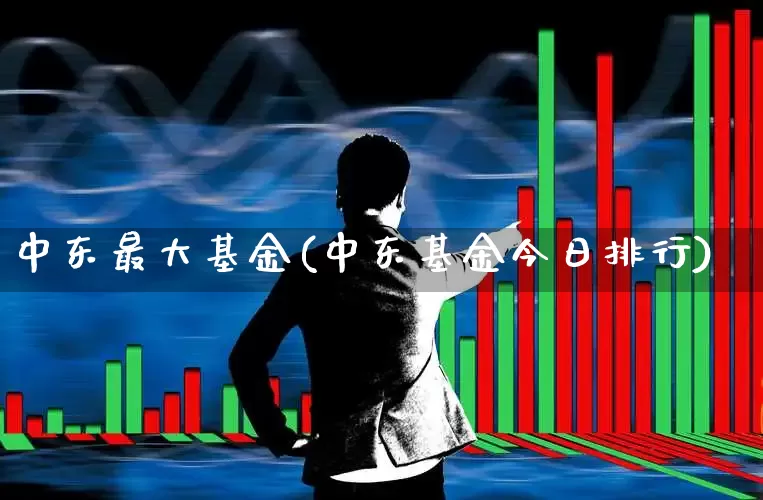 中东最大基金(中东基金今日排行)_https://www.fzdzcxj.com_深交所_第1张