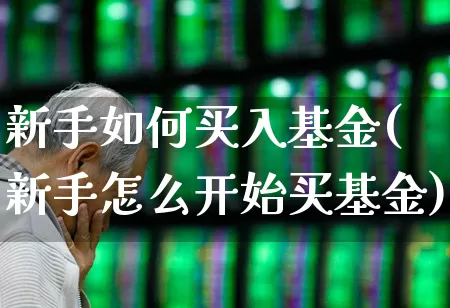 新手如何买入基金(新手怎么开始买基金)_https://www.fzdzcxj.com_上交所_第1张