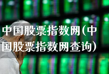 中国股票指数网(中国股票指数网查询)_https://www.fzdzcxj.com_上交所_第1张