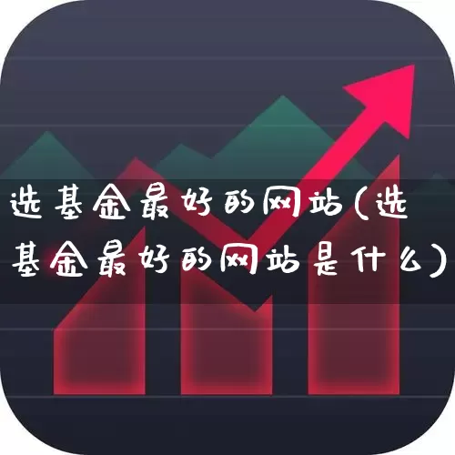 选基金最好的网站(选基金最好的网站是什么)_https://www.fzdzcxj.com_北交所_第1张