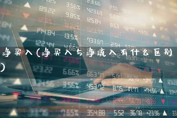 净买入(净买入与净流入有什么区别)_https://www.fzdzcxj.com_上交所_第1张