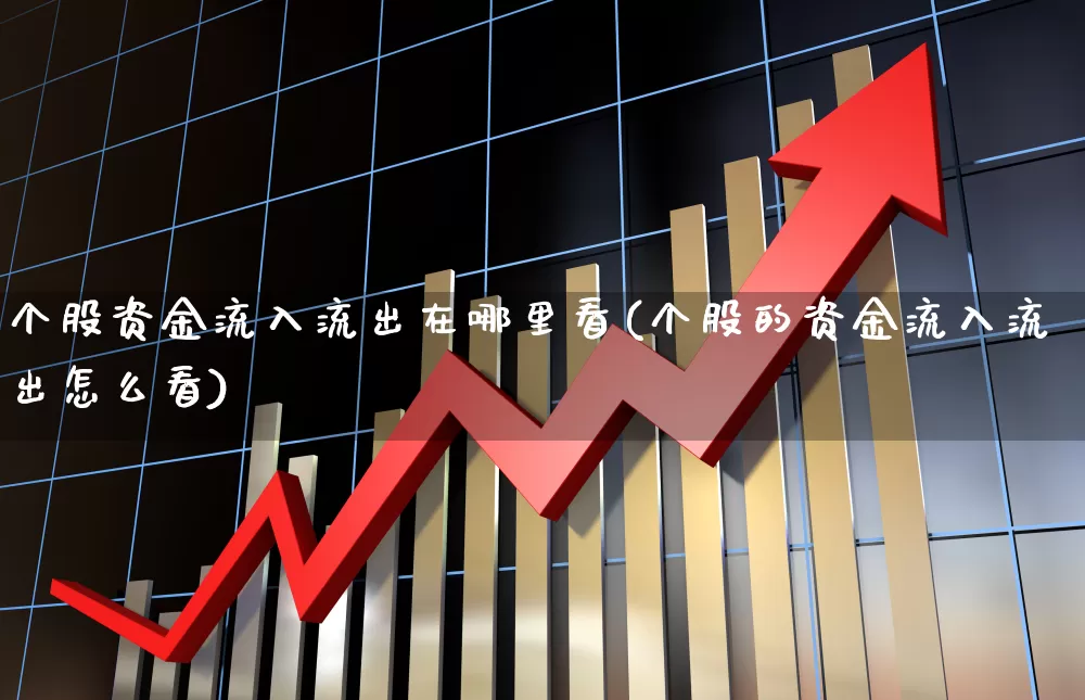 个股资金流入流出在哪里看(个股的资金流入流出怎么看)_https://www.fzdzcxj.com_深交所_第1张