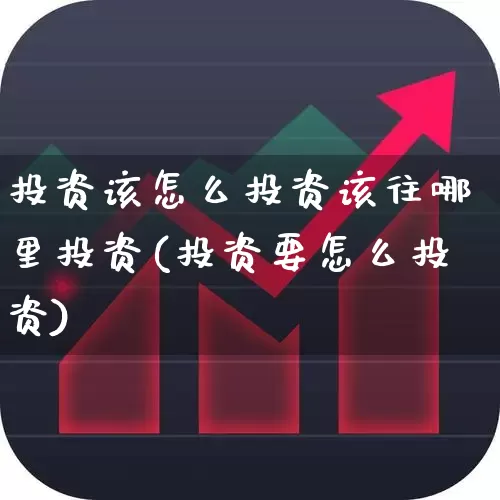 投资该怎么投资该往哪里投资(投资要怎么投资)_https://www.fzdzcxj.com_北交所_第1张
