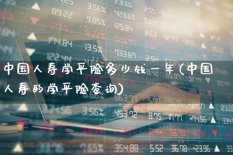 中国人寿学平险多少钱一年(中国人寿的学平险查询)_https://www.fzdzcxj.com_上交所_第1张