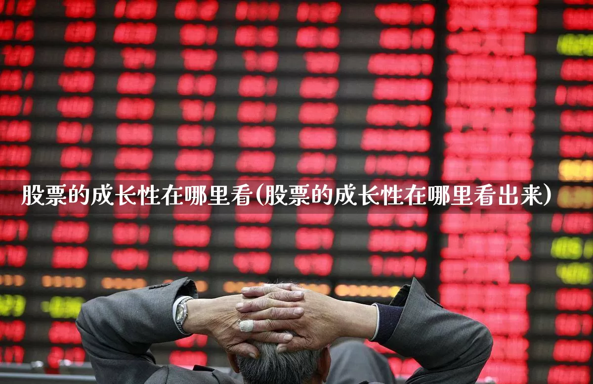 股票的成长性在哪里看(股票的成长性在哪里看出来)_https://www.fzdzcxj.com_上交所_第1张