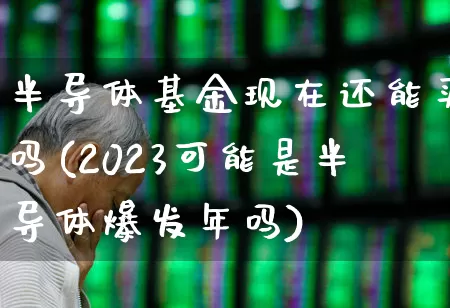半导体基金现在还能买吗(2023可能是半导体爆发年吗)_https://www.fzdzcxj.com_北交所_第1张