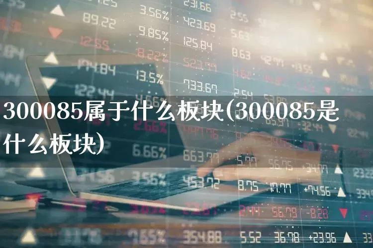 300085属于什么板块(300085是什么板块)_https://www.fzdzcxj.com_创业板_第1张