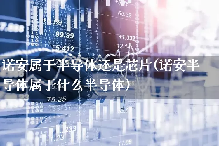 诺安属于半导体还是芯片(诺安半导体属于什么半导体)_https://www.fzdzcxj.com_创业板_第1张
