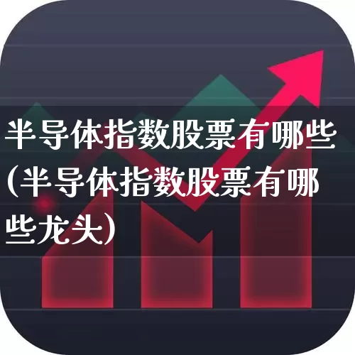 半导体指数股票有哪些(半导体指数股票有哪些龙头)_https://www.fzdzcxj.com_深交所_第1张