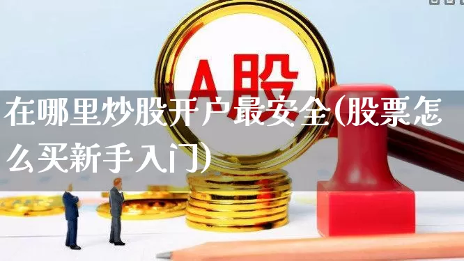 在哪里炒股开户最安全(股票怎么买新手入门)_https://www.fzdzcxj.com_北交所_第1张