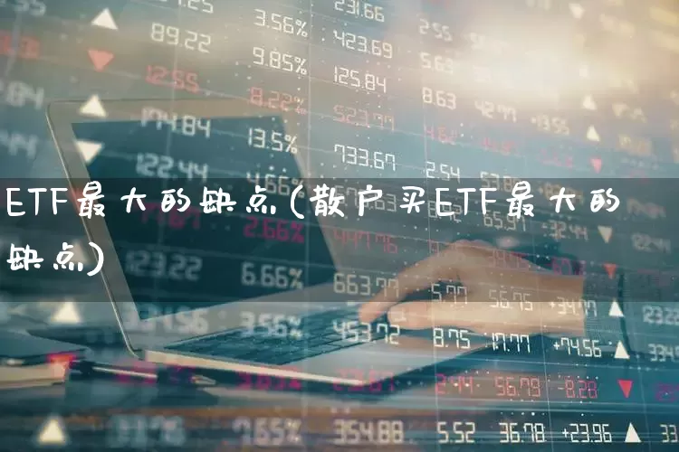 ETF最大的缺点(散户买ETF最大的缺点)_https://www.fzdzcxj.com_深交所_第1张