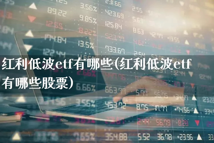 红利低波etf有哪些(红利低波etf有哪些股票)_https://www.fzdzcxj.com_北交所_第1张