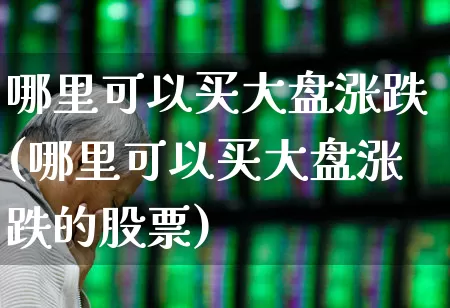 哪里可以买大盘涨跌(哪里可以买大盘涨跌的股票)_https://www.fzdzcxj.com_上交所_第1张