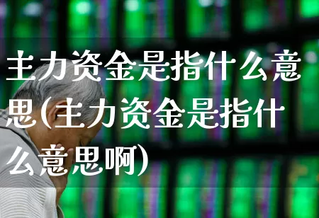 主力资金是指什么意思(主力资金是指什么意思啊)_https://www.fzdzcxj.com_创业板_第1张