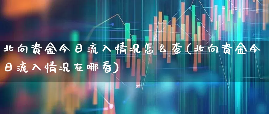 北向资金今日流入情况怎么查(北向资金今日流入情况在哪看)_https://www.fzdzcxj.com_北交所_第1张