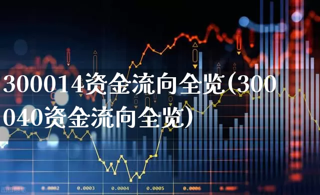 300014资金流向全览(300040资金流向全览)_https://www.fzdzcxj.com_科创板_第1张
