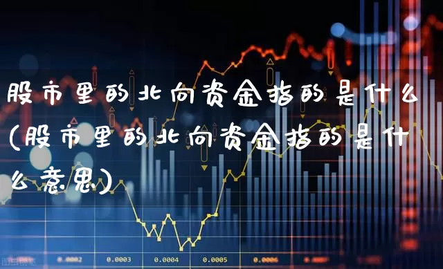股市里的北向资金指的是什么(股市里的北向资金指的是什么意思)_https://www.fzdzcxj.com_深交所_第1张