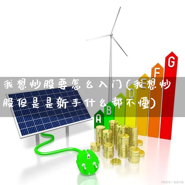我想炒股要怎么入门(我想炒股但是是新手什么都不懂)_https://www.fzdzcxj.com_上交所_第1张
