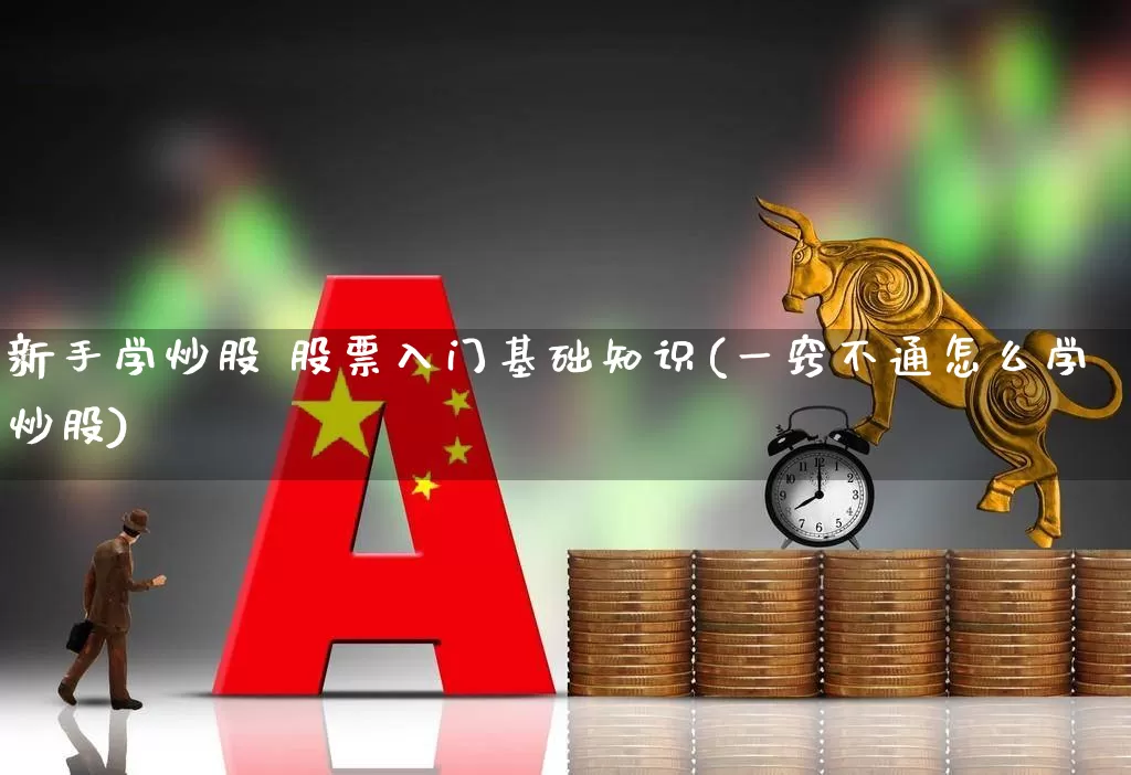 新手学炒股 股票入门基础知识(一窍不通怎么学炒股)_https://www.fzdzcxj.com_上交所_第1张