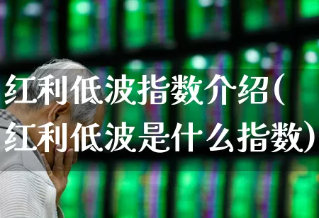 红利低波指数介绍(红利低波是什么指数)_https://www.fzdzcxj.com_北交所_第1张
