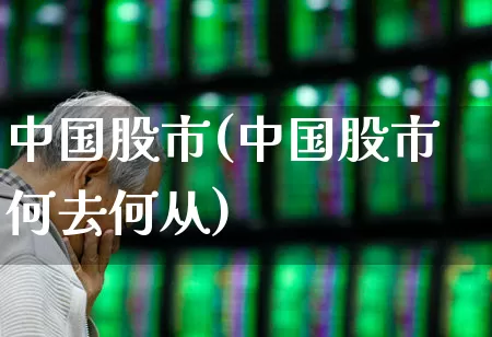 中国股市(中国股市何去何从)_https://www.fzdzcxj.com_科创板_第1张