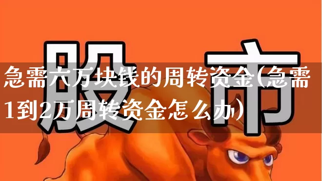 急需六万块钱的周转资金(急需1到2万周转资金怎么办)_https://www.fzdzcxj.com_创业板_第1张