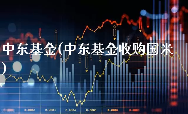 中东基金(中东基金收购国米)_https://www.fzdzcxj.com_北交所_第1张
