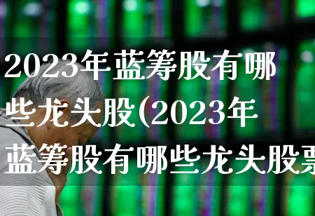 2023年蓝筹股有哪些龙头股(2023年蓝筹股有哪些龙头股票)_https://www.fzdzcxj.com_深交所_第1张