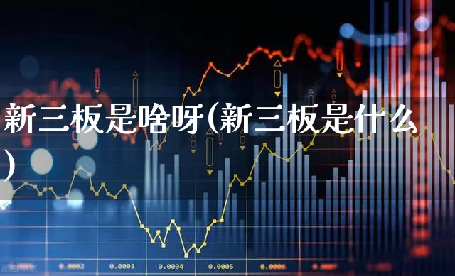 新三板是啥呀(新三板是什么)_https://www.fzdzcxj.com_科创板_第1张